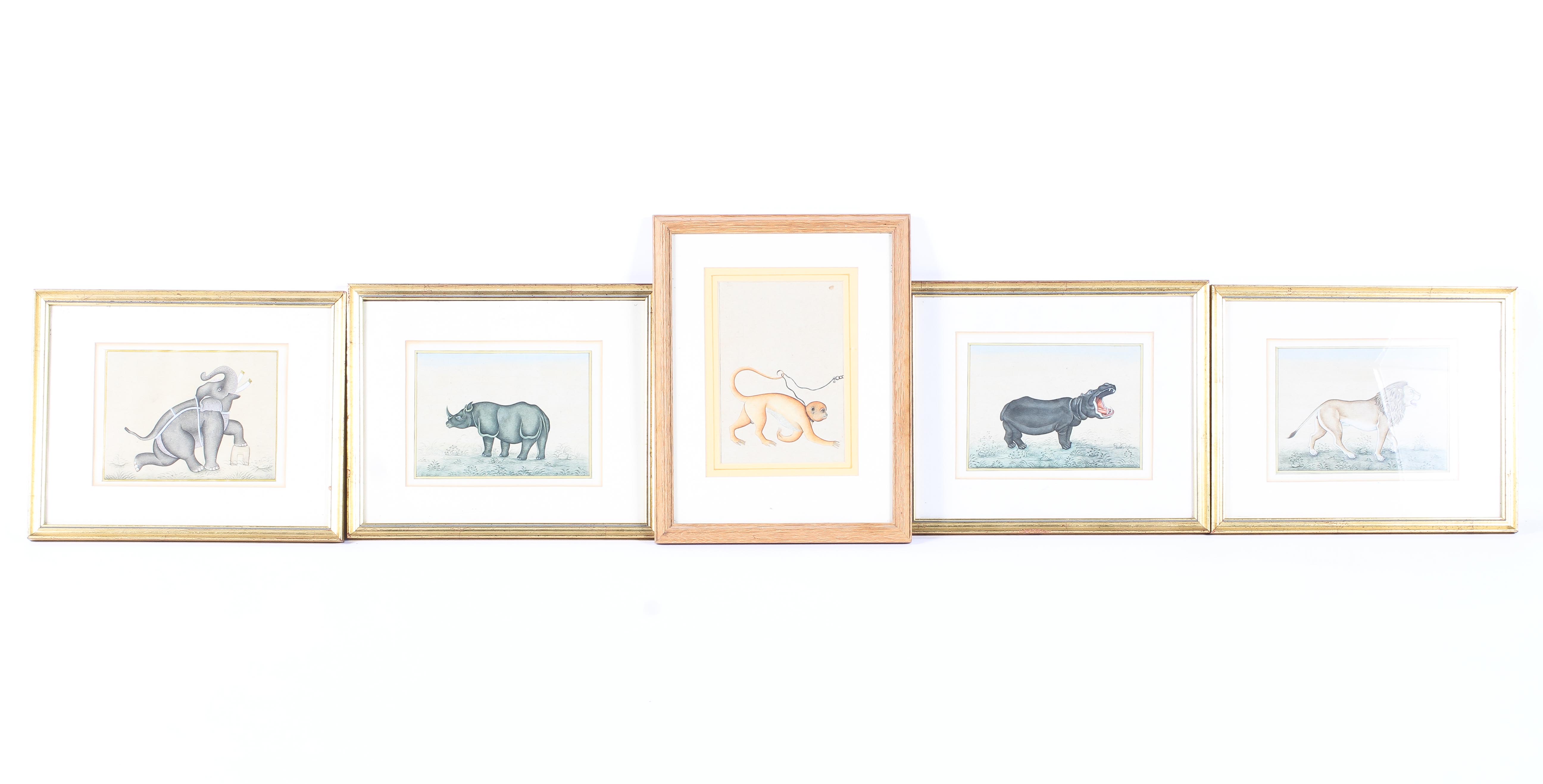 Five 19th century style watercolours of wild animals