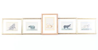 Five 19th century style watercolours of wild animals