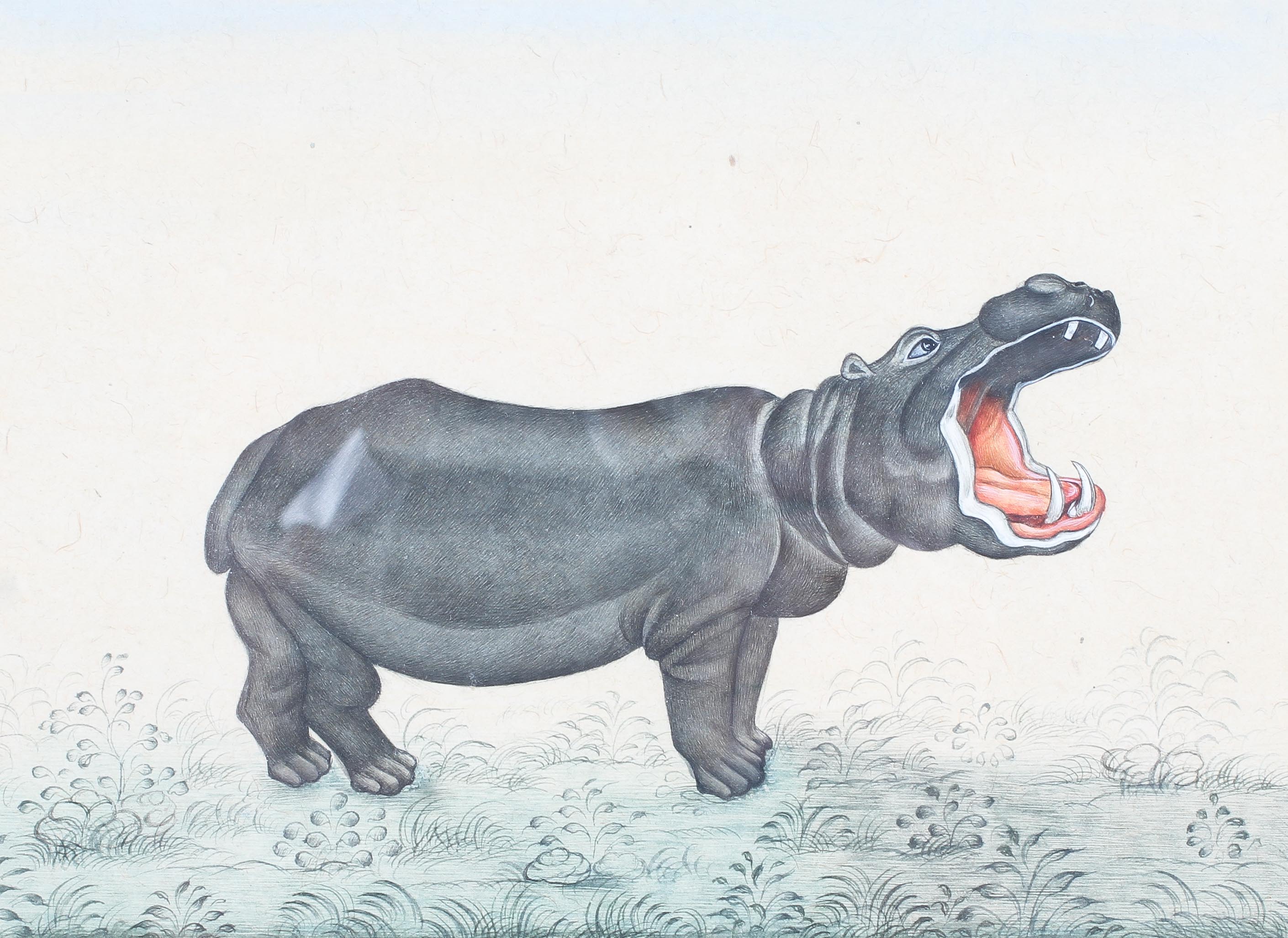 Five 19th century style watercolours of wild animals - Image 5 of 6