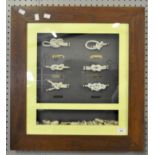A sailing knot wall display featuring six labelled knots above a collection of small shells,