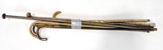 A collection of Victorian and later walking sticks, of assorted designs and sizes,