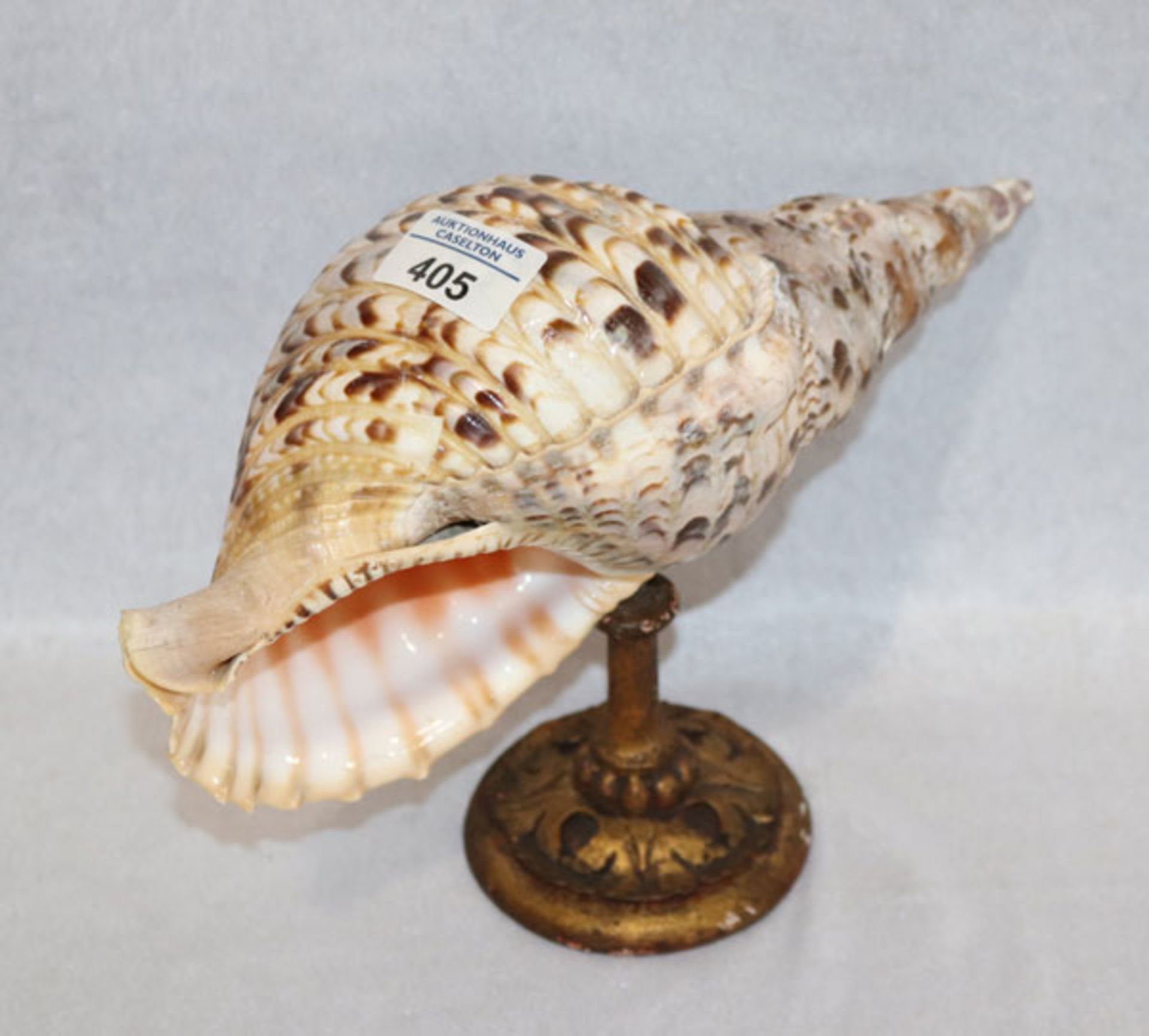 Große Schnecke auf Ständer montiert, H 21 cm, B 31 cm, teils bestossen