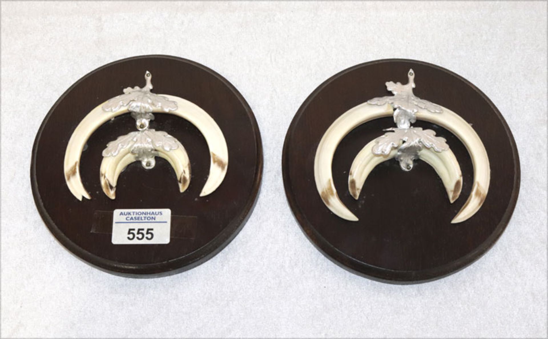 2 Paar Eberzähne mit Metall Eichenblättern auf runden Holzplatten montiert, D 16 cm