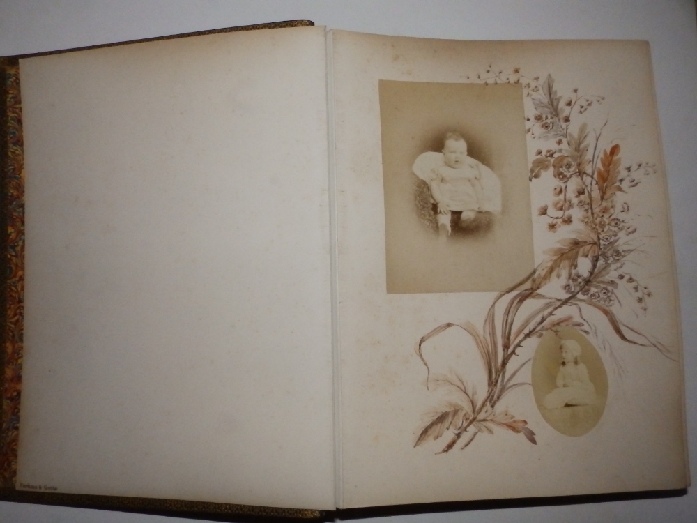 A Victorian scrap album, a smaller album containing 30 dried specimens of grasses, a family photo - Bild 3 aus 12