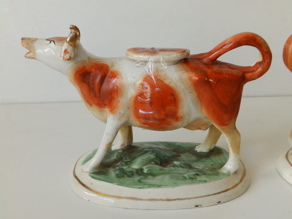 A pair of Victorian Staffordshire brown & white cow creamers, 6.5" across. (2) - Image 7 of 8