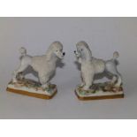 A pair of continental porcelain poodles, bearing gold anchor marks, 3" across. (2)