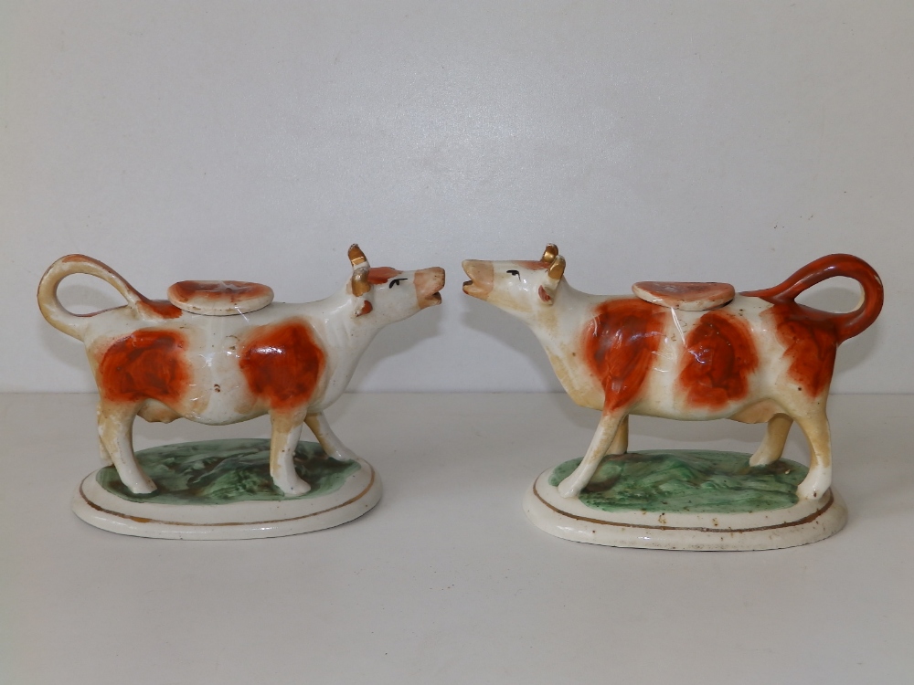 A pair of Victorian Staffordshire brown & white cow creamers, 6.5" across. (2)