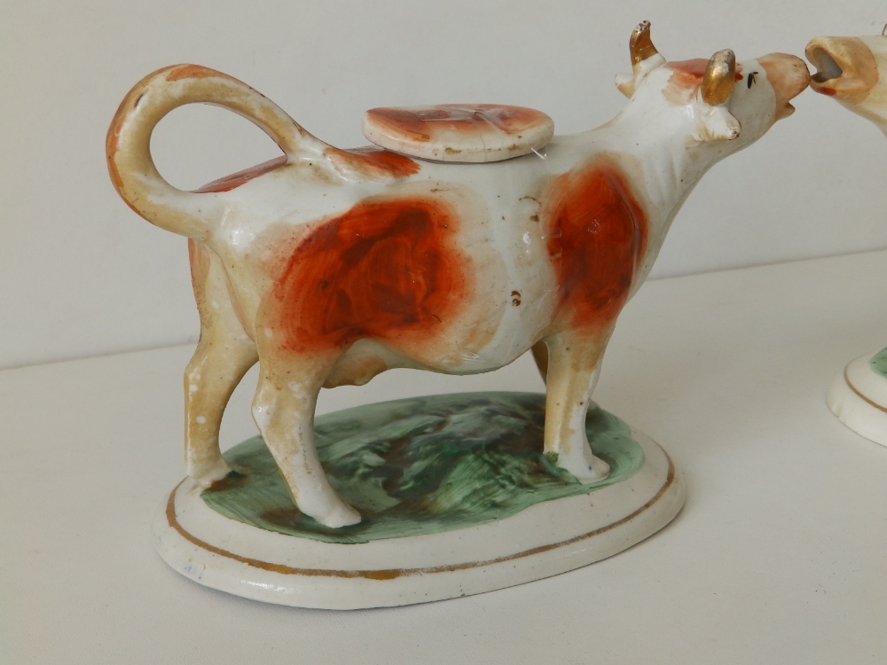 A pair of Victorian Staffordshire brown & white cow creamers, 6.5" across. (2) - Image 2 of 8