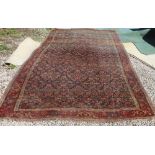 A Bidjar carpet, the indigo herati field within a rose palmette patterned border with two guards,