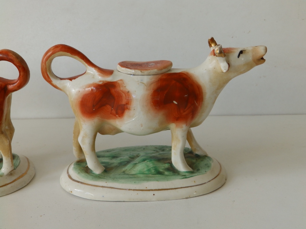 A pair of Victorian Staffordshire brown & white cow creamers, 6.5" across. (2) - Image 6 of 8