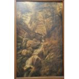 George Freeman - oil on canvas - A Chudleigh waterfall, signed & dated 1926, 14.5" x 23.5".