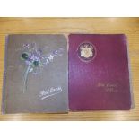 Two old postcard albums conatining approximately 200 cards including WWI subjects and humorous.