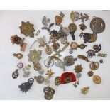 A collection of various cap badges.