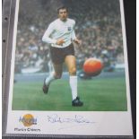 MARTIN CHIVERS TOTTENHAM & ENGLAND - WESTMINSTER EDITION AUTOGRAPHED PHOTO