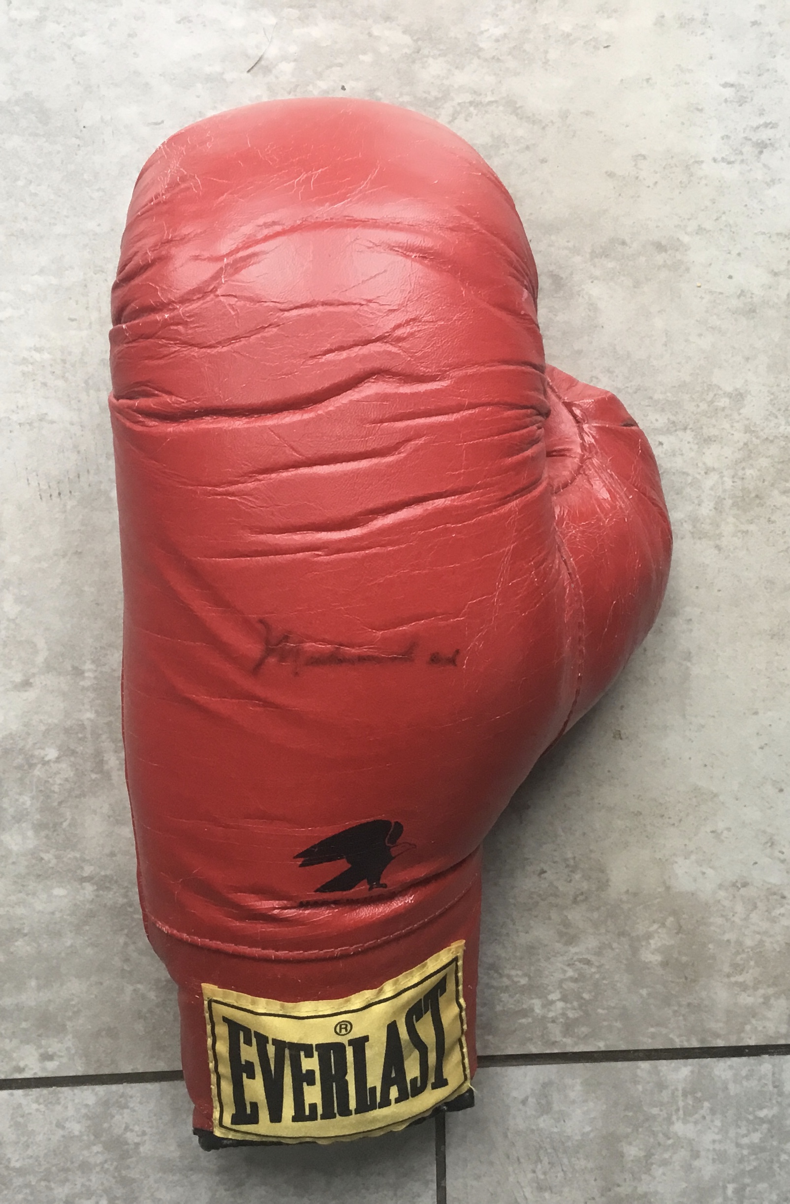 BOXING - MUHAMMAD ALI AUTOGRAPHED GLOVE