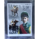 HORSE RACING - LESTER PIGGOTT HAND SIGNED FRAMED MONTAGE