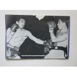 BOXING - HOWARD WINSTONE HAND SIGNED PICTURE