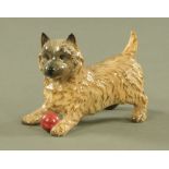 A Beswick model of a terrier with a ball. Length 14 cm.