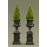 A pair of cast iron Campana shaped garden urns, each raised on a stand and complete with conifer.