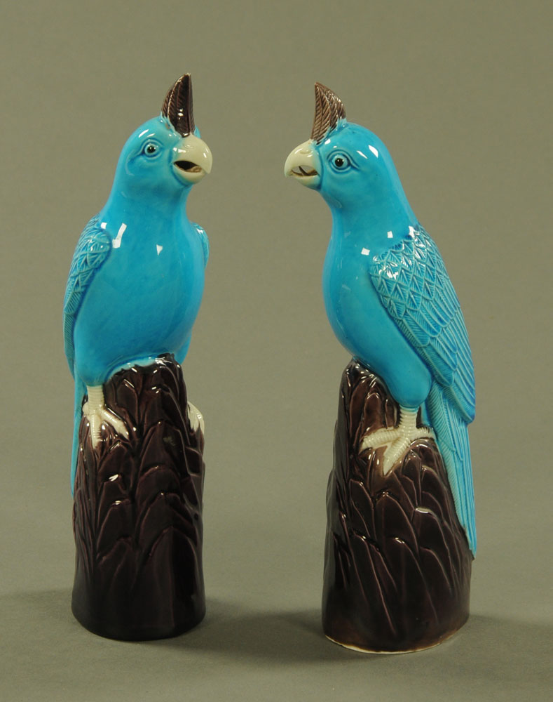 A pair of Chinese blue glazed parrots, each raised on a naturalistic base. Height 27 cm.