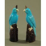 A pair of Chinese blue glazed parrots, each raised on a naturalistic base. Height 27 cm.