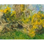 Ray Atkins (born 1937), oil on canvas "Broken Gorse", 61 cm x 77 cm. ARR (see illustration).