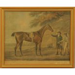 An antiquarian engraving "Hambletonian", 39 cm x 48 cm, framed.