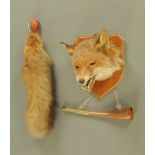 A fox mask and brush, mounted on an oak veneered shield and together with a small hunting horn.