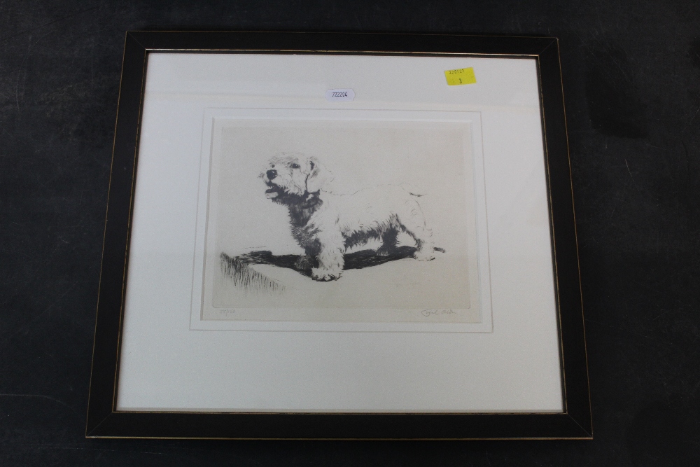 Cecil Aldin (1870-1935), etching, portrait of a West highland terrier, 16 cm x 20 cm,