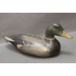 Stewart Males, a composition Mallard decoy duck, 33 cm tail to beak marked to bottom 2002,
