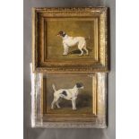 D Winskill? a pair of oil on canvas Terrier portraits, dated 2012, 18 x 24 cm in gilt frames.