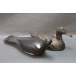 An early 20th century wooden carved Pigeon decoy, tail to beak 38 cm,