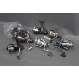 Six fixed spool reels, to include Daiwa D4000, Okuma Epix Pro,