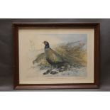 Five prints, two by Beresford Hill signed limited editions of Pheasants and Grey and Red Partridge,