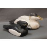 Stewart Males, two wooden carved decoy ducks, Eider, 38 cm tail to beak marked to bottom 1995,