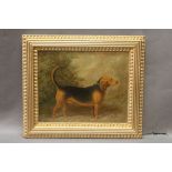 An early 20th century oil painting on board of a hound, 19 x 23 cm, in an ornate gilt frame.