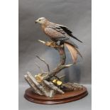 A Border Fine Arts Red Kite figure, model No.