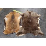 Taxidermy - Two skin rugs, goat and possibly a Soay sheep, 93 cm and 92 cm.