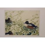 Wilson (American?) an engraving of three ducks, signed by the artist and with illegible title,