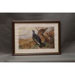 Eight Archibald Thorburn prints, all numbered 124/400 depicting Black Cock, Ptarmigan, Snipe,