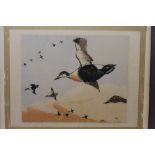 Wilson (American?) an engraving of eider ducks in flight, signed by the artist, 35 x 42 cm.