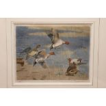 Winnifred Austen RI RE British 1876-1964, an aquatint engraving "Widgeon" 22 x 29 cm,