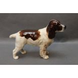 A large Beswick spaniel horseshoe primula, +/- 14 cm in height.