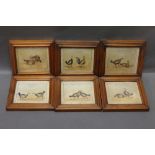 A set of six cock fighting scenes, 8 x 9 cm in pine frames "A Set To", "A Knock Down Blow",
