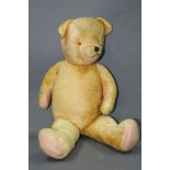 An Eastern European growler bear with plastic amber coloured eyes, stitched facial features,