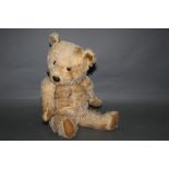 A 1950's Chiltern teddy bear, having blonde mohair covered body, plastic amber coloured eyes,