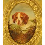 Oil painting of 19th century style, portrait of a Beagle, oval,