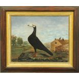 A 19th century Naive School - oil painting - portrait of a racing pigeon with pigeon loft and