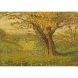 19th century school, oil painting, autumnal landscape scene with tree to foreground.