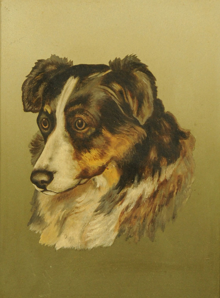 An oil painting on board portrait of a collie, 29 cm x 21 cm.